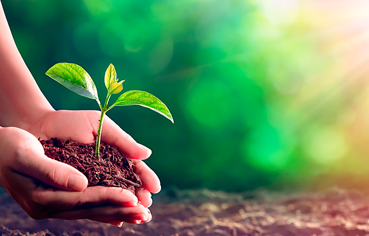 ��Ȧ(�й���)�������ǲ�!